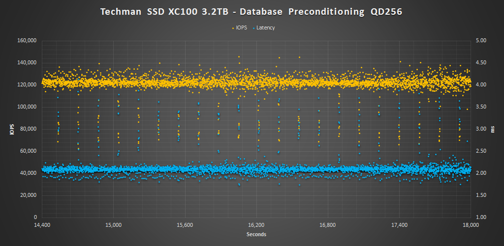 Techman SSD XC100 3.2TB DB Pre