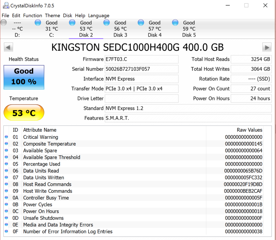 Kingston DCP1000 NVMe SSD RAID o Crystal Disk Info